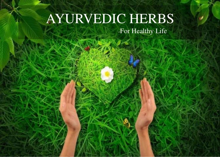 Ayurveda Medical herbs to Lead a Natural Life