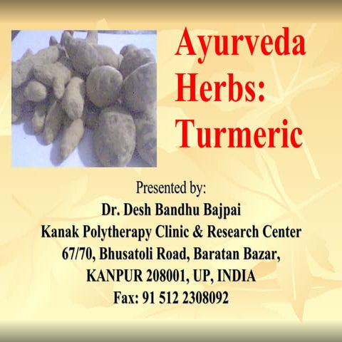 Ayurveda Herb Turmeric English