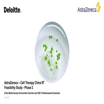 Deloitte presentation for consulting case