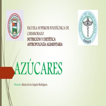 Infografía azúcares simples | PDF