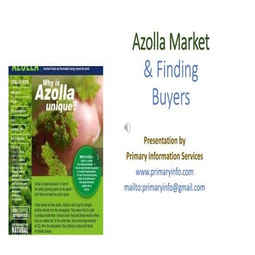 Azolla market | PDF