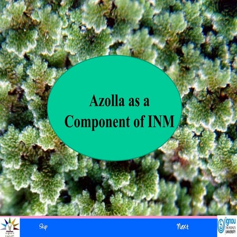Azolla ppt | PPTX