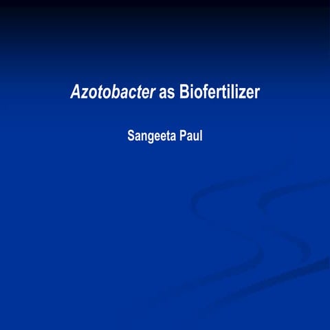 azotobacter-as-biofertilizer.ppt