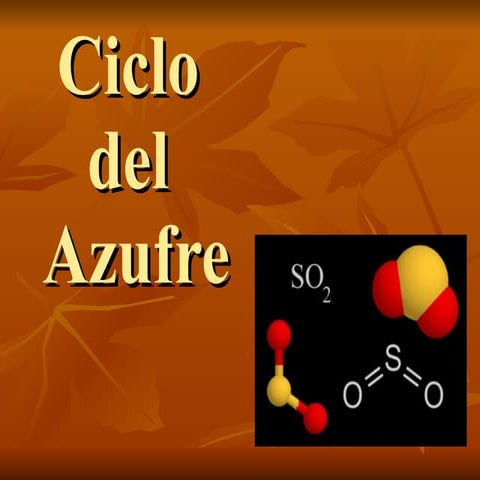 Ciclo biogeoquímico del Azufre