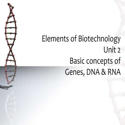 B.tech biotechnology ii elements of biotechnology unit 2 structure of dna