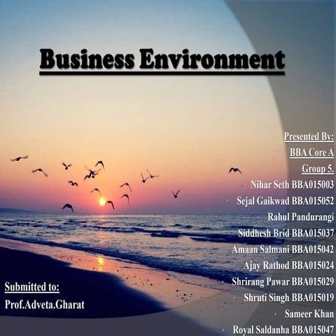 Business Environment