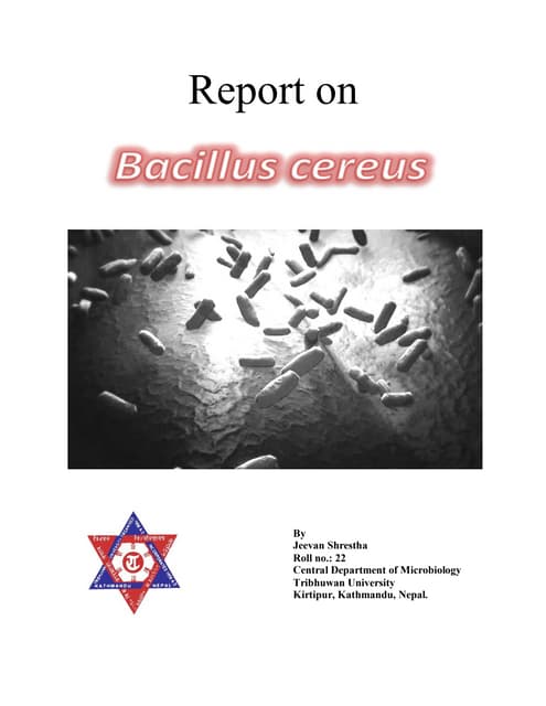 Bacillus cereus - contamination in food | PDF | Digestive Disorders ...