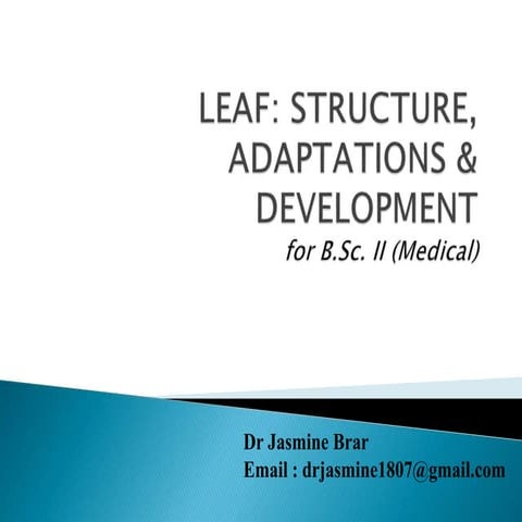 Leaf structure, adaptations, development 