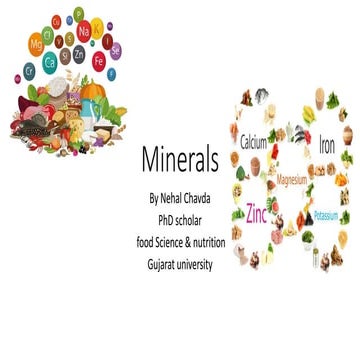 B.sc- sem 2 - Minerals.pdf