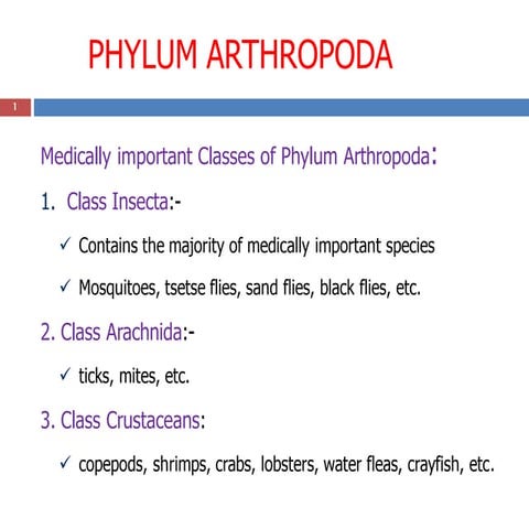 B. vector Biology 2nd class.pdf