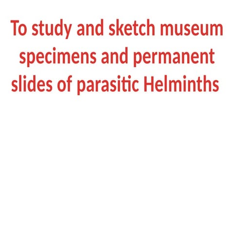 B.Sc I - Sem I_Parasitic Helminthes Zoology Practical.pptx