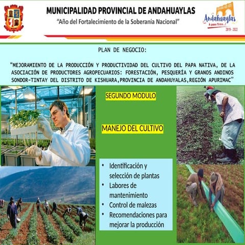 Manejo del Cultivo de la papa nativa.pptx