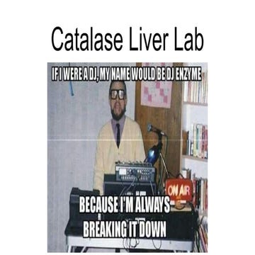 enzyme catalyst lab for highschool freshmen biology
