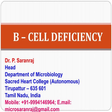 B - cell Deficiency