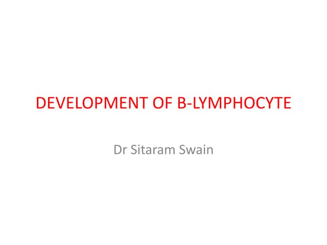 B-Cell development.pdf