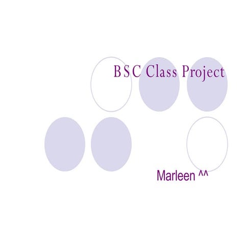 B S C  Class  Project