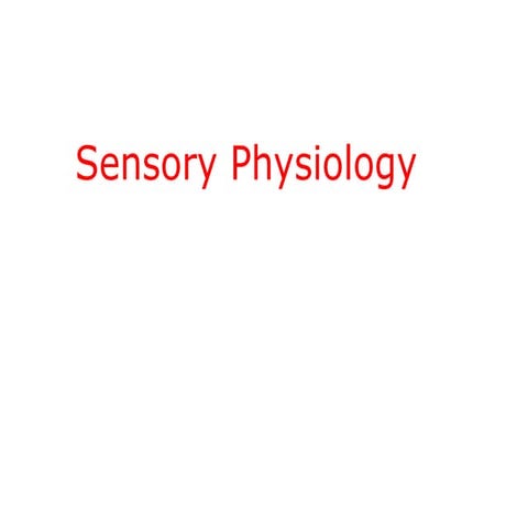 B-Sensory Physiology.ppt within neuroscience course ppt