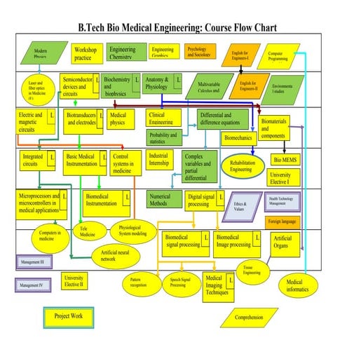VIT B.Tech BioMed Flow Chart