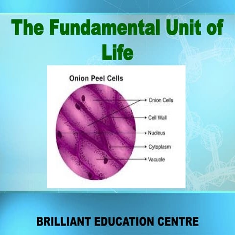 B-The Fundamental unit of life- 2025 (3).pptx