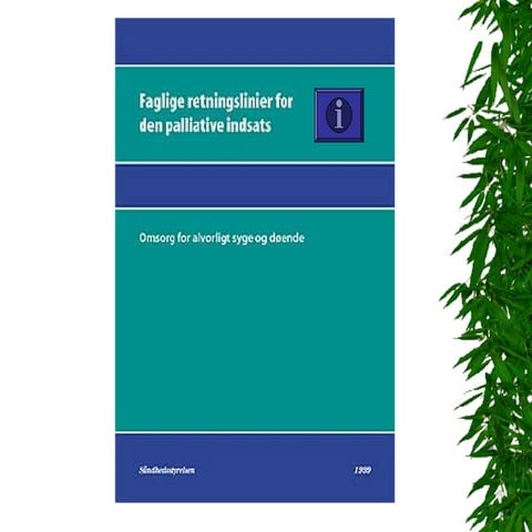 palliativ omsorg rev 2
