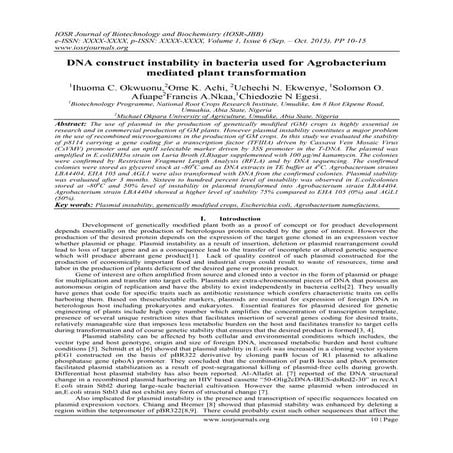 DNA construct instability in bacteria used for Agrobacterium mediated plant t...