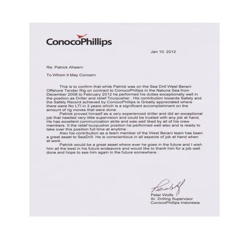 Personal reference from DSV Peter Wolf