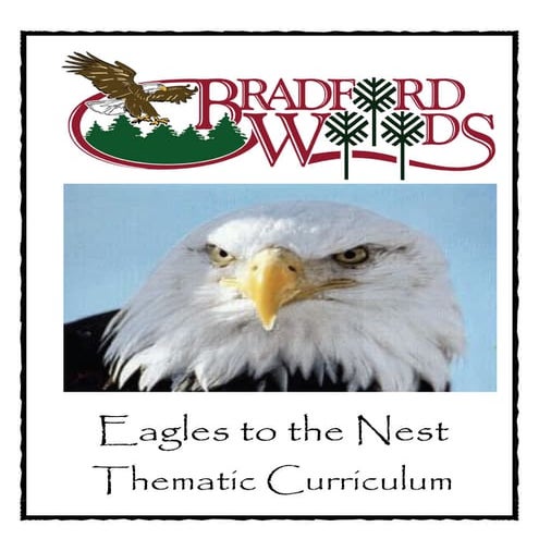 Eagles_to_the_Nest_11