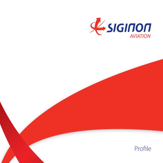 Siginon Aviation bro 19 02 2014