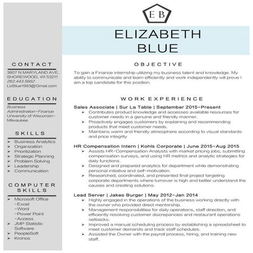 Liz Professional Resume