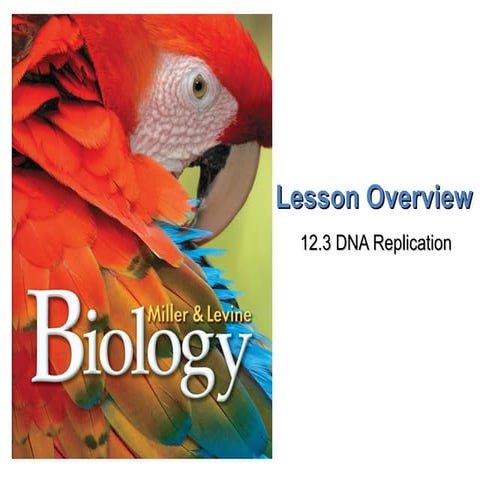CVA Biology I - B10vrv4123