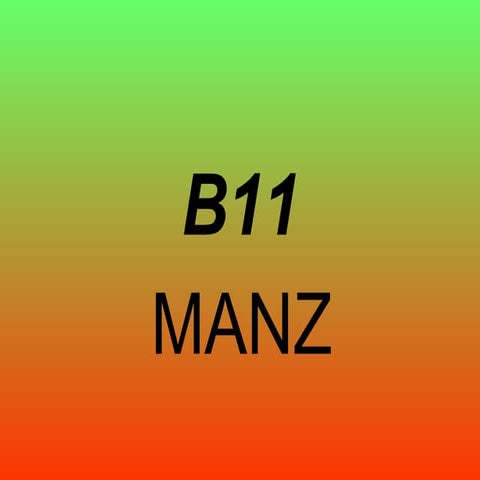 B11 | PPT