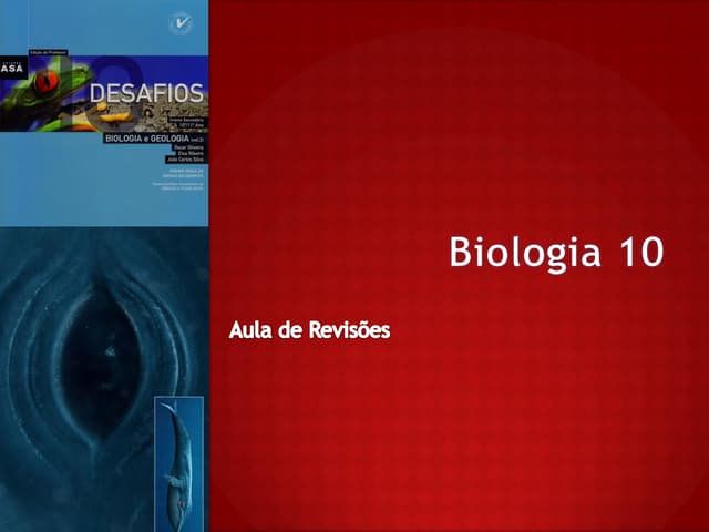 B11   aula de revisões 1