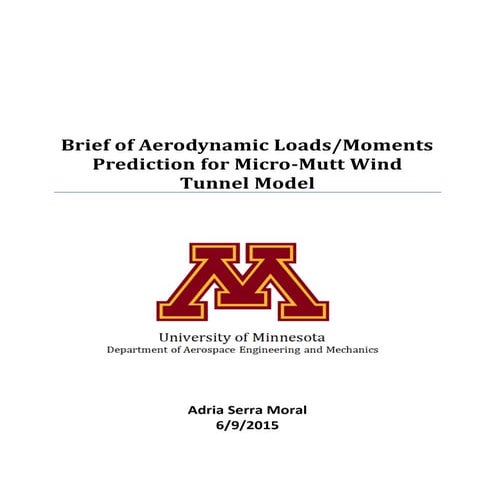 Brief of Aerodynamic Loads_Moments Prediction for Micro-Mutt Wind Tunnel Model (1)