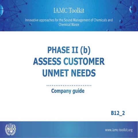 B12 2 assess customer unmet needs_final-pdf