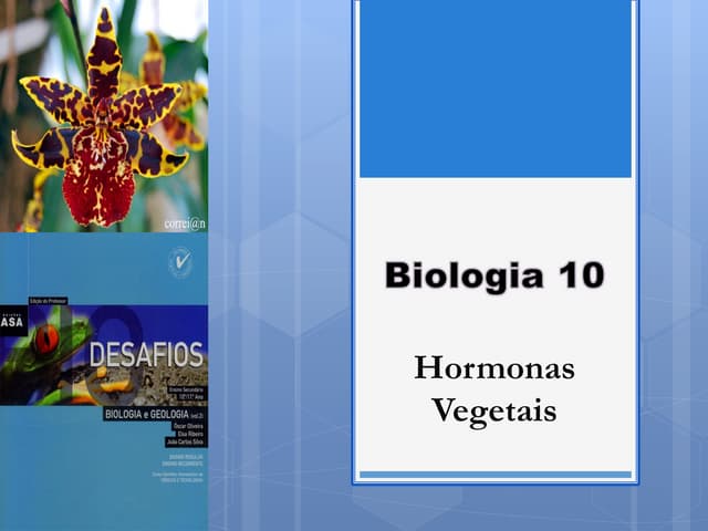 B13   hormonas vegetais
