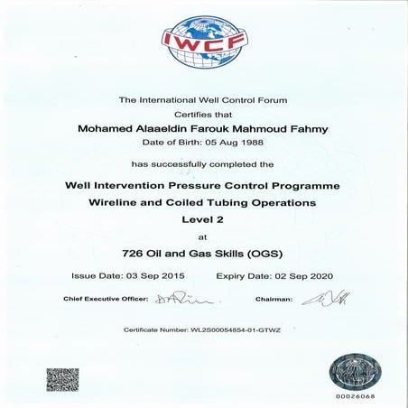 Well Intervention Pressure Control Programme | PDF