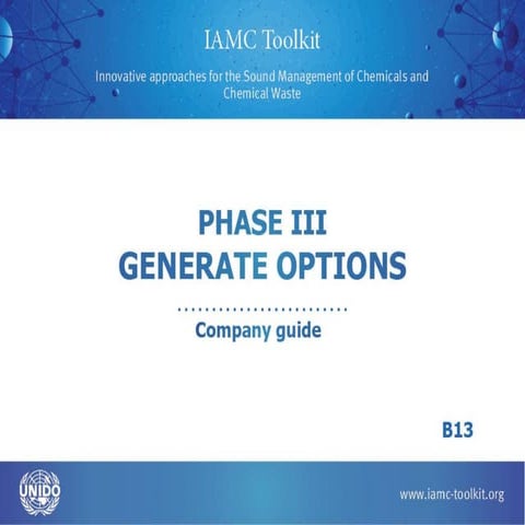 B13 1 generate innovative options_final