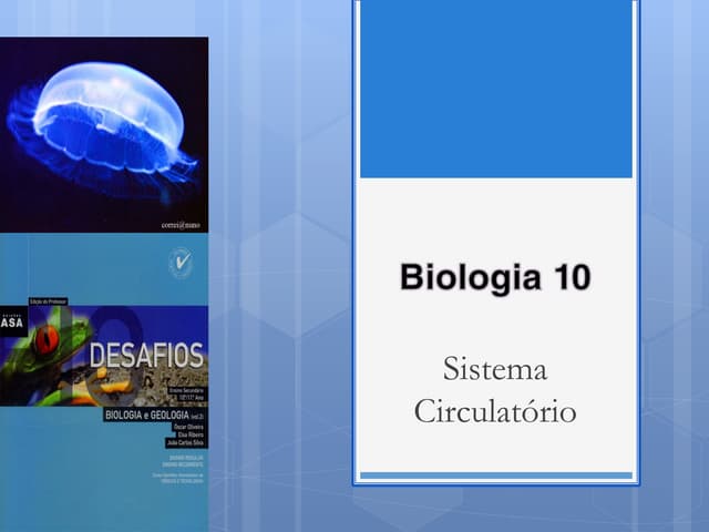 B14   sistemas circulatórios