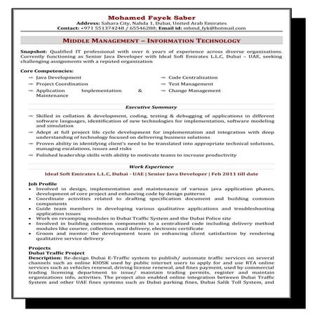 Resume - Mohamed Fayek Saber