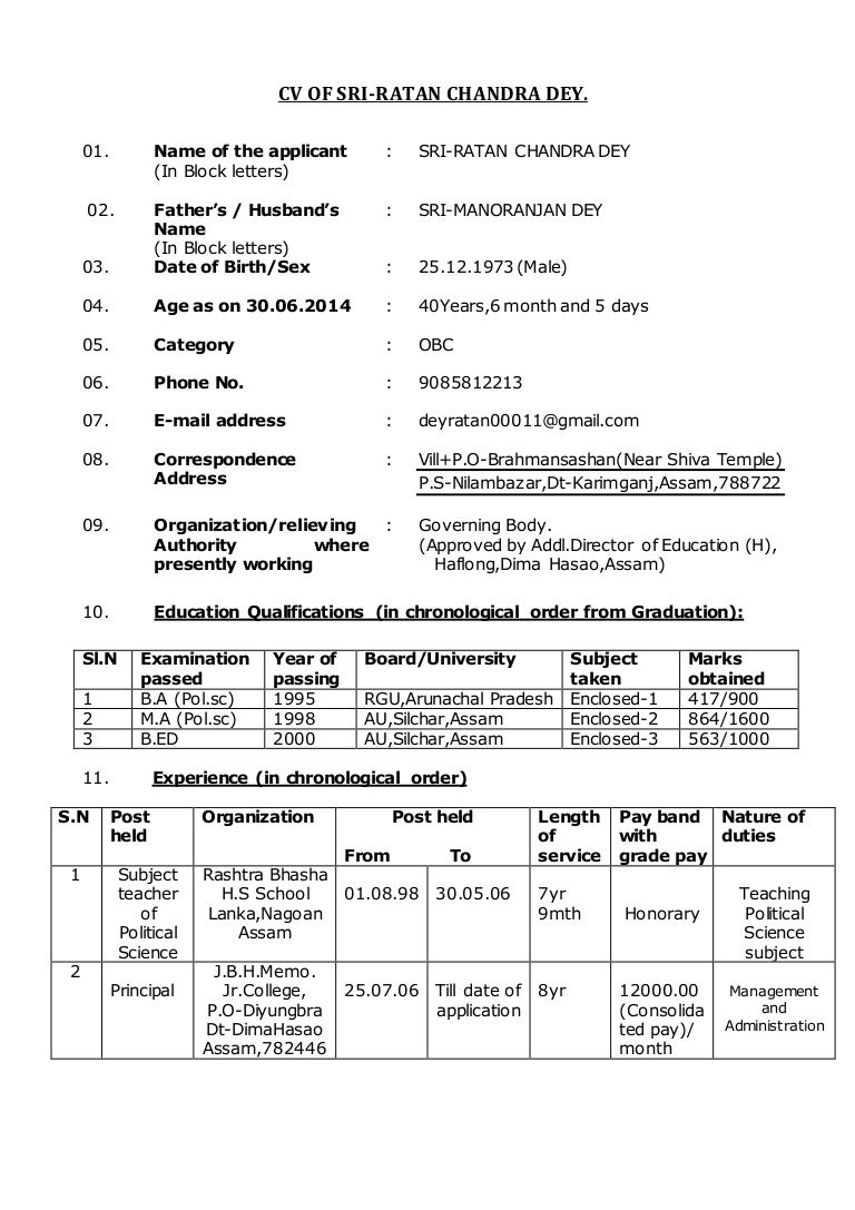 Curriculum vitae examples pdf image