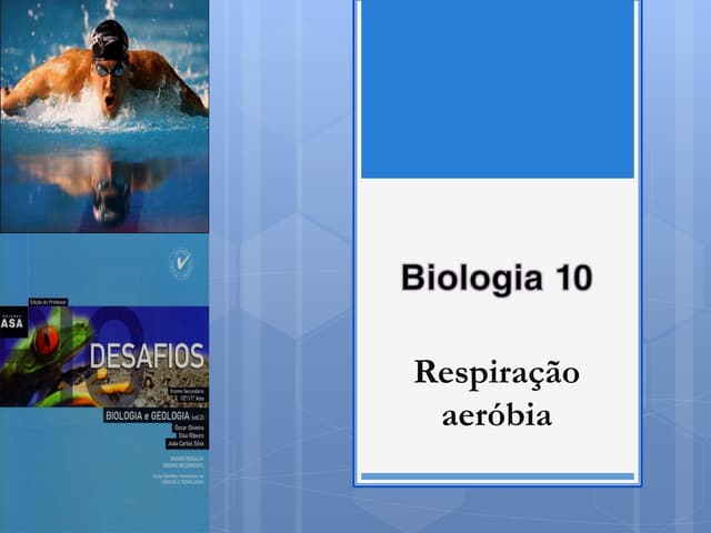 B18   respiração aeróbia