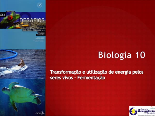 B18   transformação e utilização de...