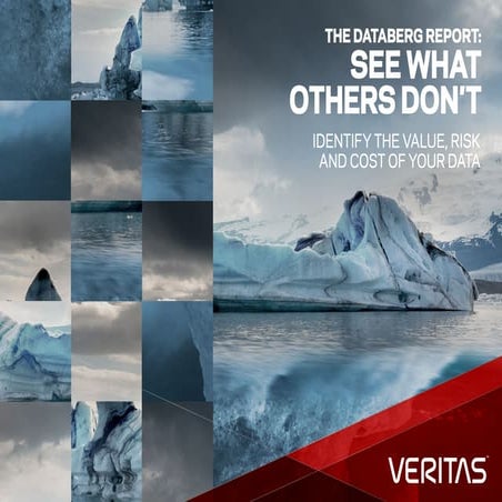 THE DATABERG REPORT SEE WHAT OTHERS DON’T