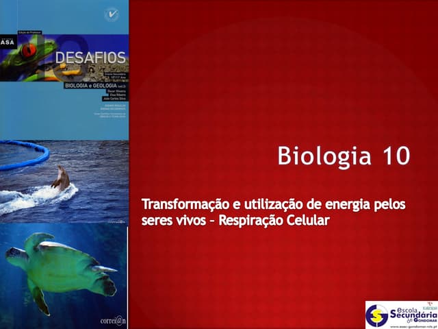 B19   transformação e utilização de...