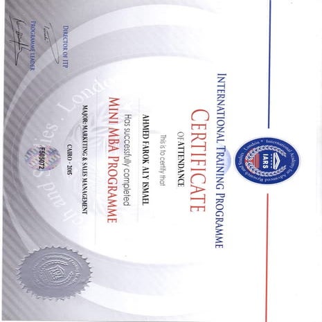 mini mba | PDF