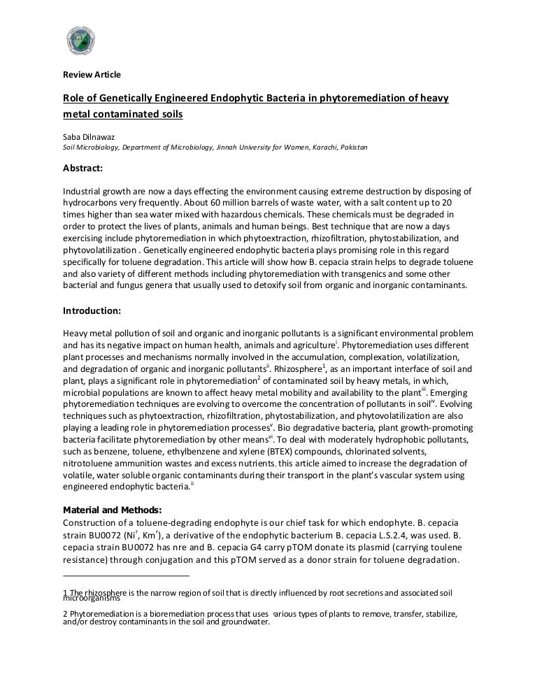 Review article example image