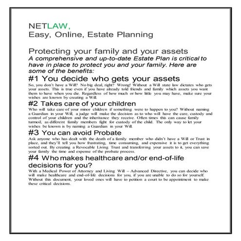 NETLAW Client Flyer