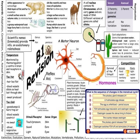 Biology: B1 Revision (AQA)