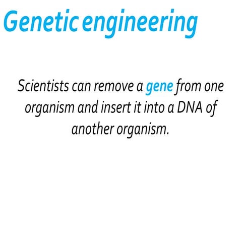 B2.6 genetic engineering