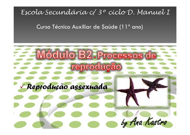 Reprodução assexuada